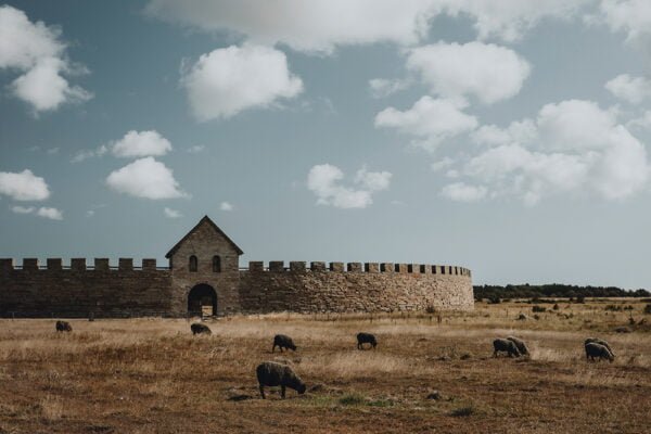 Eketorps borg och betande får