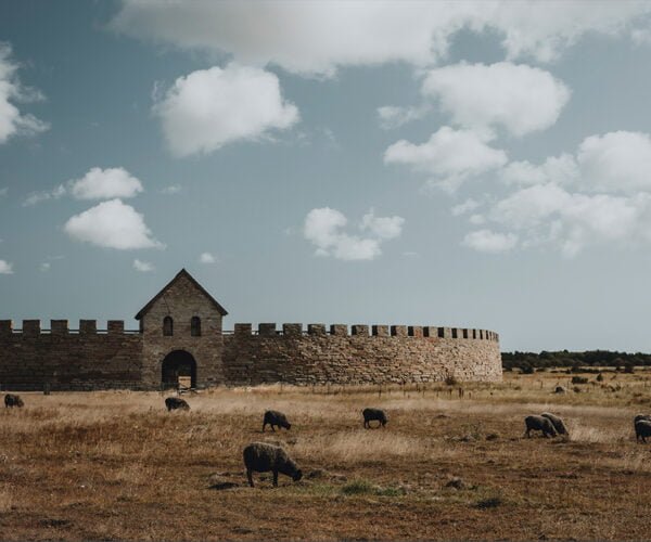 Eketorps borg och betande får