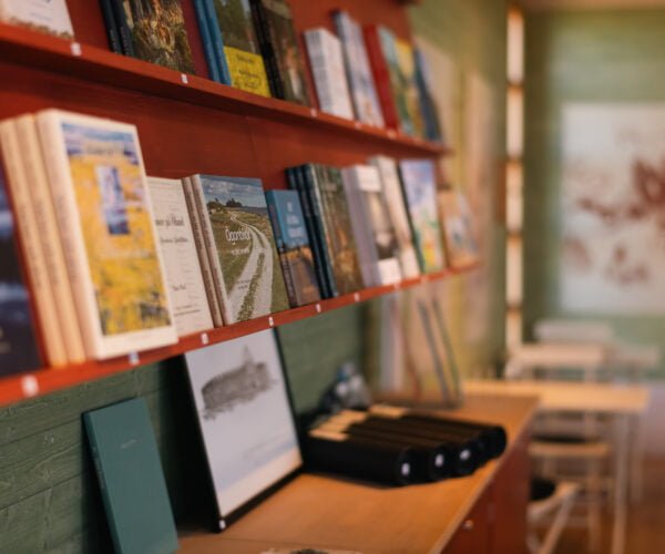 Vy över böcker i en butik.