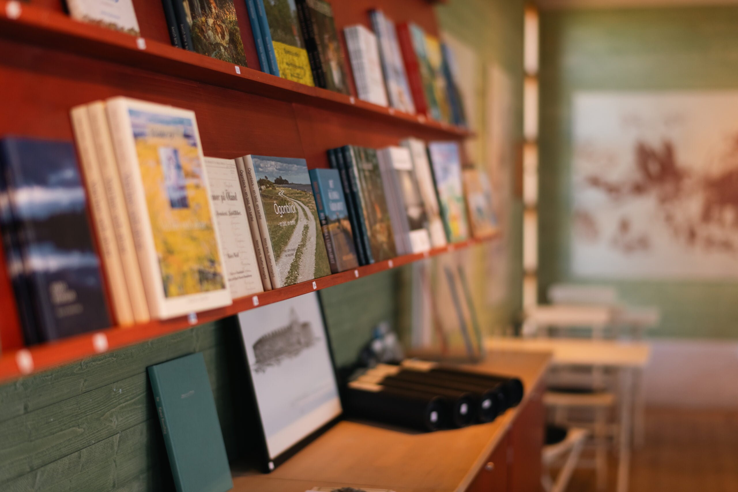 Vy över böcker i en butik.